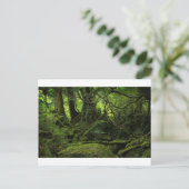 Oerwoud Forest of Moss Briefkaart (Staand voorkant)