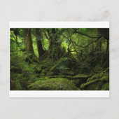 Oerwoud Forest of Moss Briefkaart (Voorkant)