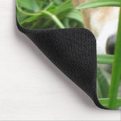 Oerwoud Iggy Muismat (Hoek)