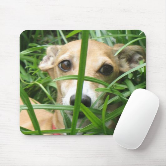 Oerwoud Iggy Muismat (Met muis)