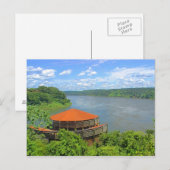 Oerwoud in Brazilië Briefkaart (Voorkant / Achterkant)