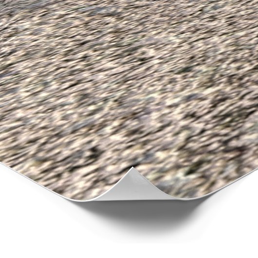 Oerwoud Jamie Poster (Hoek)