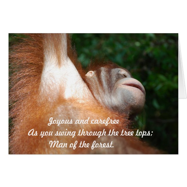 Oerwoud Joy - Orangutan Tribute Wildlife Haiku (Voorkant Horizontaal)
