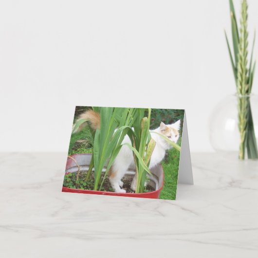 OERWOUD KAT-HAPPY 30e SIS Kaart (Voorkant)