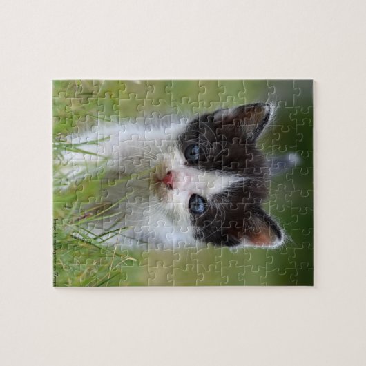 Oerwoud Kat Legpuzzel (Horizontaal)