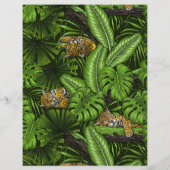 Oerwoud katten (Achterkant)