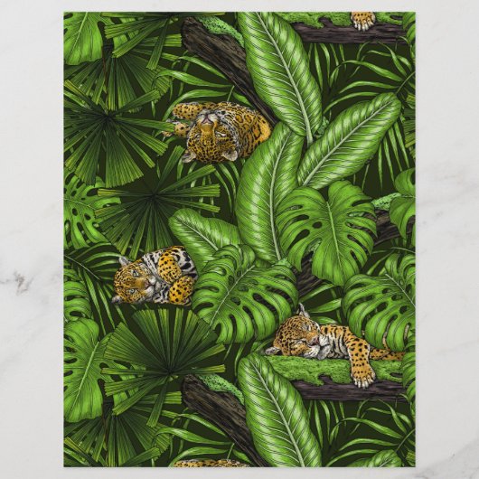 Oerwoud katten (Achterkant)