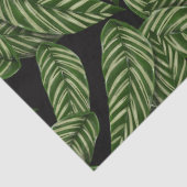 oerwoud laat weefselpapier achter tissuepapier (Detail)