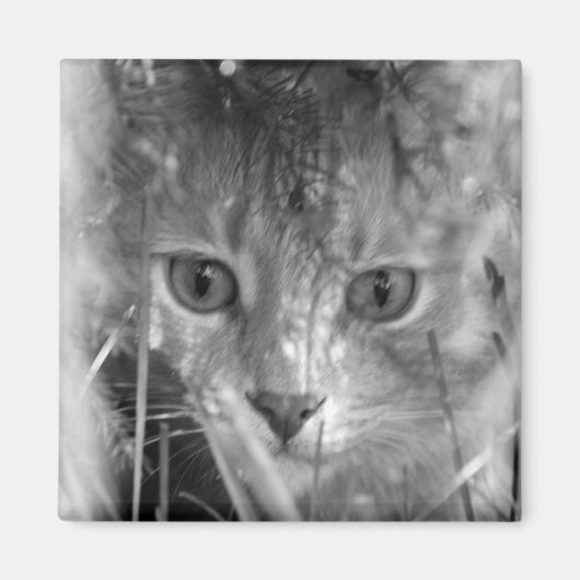 Oerwoud Legend B&W Magneet (Voorkant)