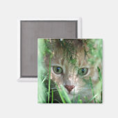 Oerwoud Legend Magneet (Voorkant / Achterkant)