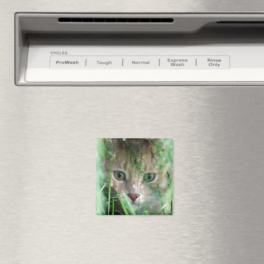 Oerwoud Legend Magneet (Insitu (Vaatwasser))