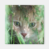 Oerwoud Legend Magneet (Voorkant)