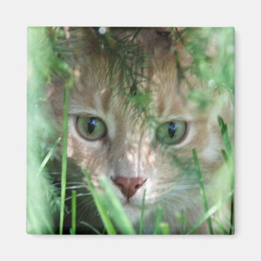 Oerwoud Legend Magneet (Voorkant)