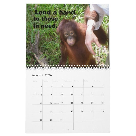 Oerwoud Lessen Kalender (Mar 2026)