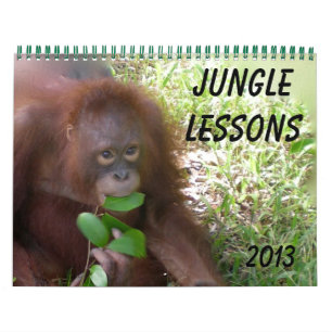 Oerwoud Lessen Wildlife Orangutans Kalender