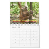 Oerwoud Lessons-kalender voor wilde dieren Kalender (Feb 2027)