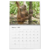 Oerwoud Lessons Wilde Dierenkalender Kalender (Feb 2027)