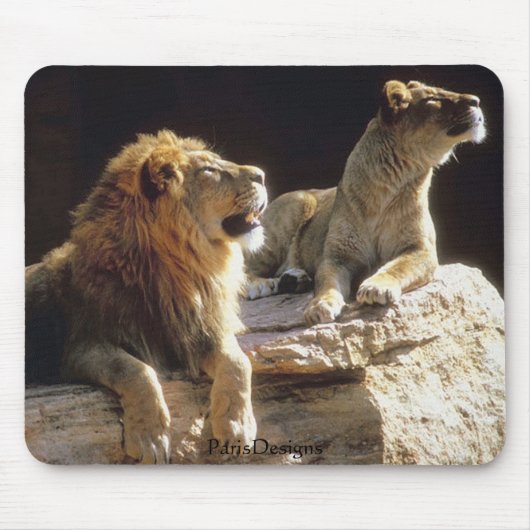 Oerwoud Lions Kenia Muismat (Voorkant)