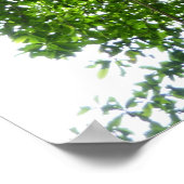 Oerwoud oproept tropische regenwoufotografie poster (Hoek)