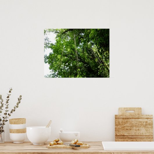 Oerwoud oproept tropische regenwoufotografie poster (Keuken)