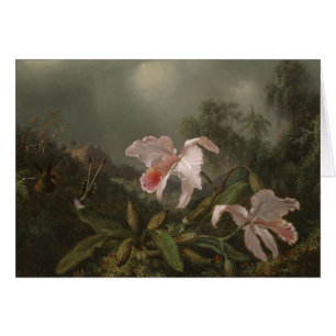 Oerwoud Orchideeën en levende vogels