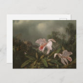 Oerwoud Orchideeën en levende vogels Briefkaart (Voorkant / Achterkant)