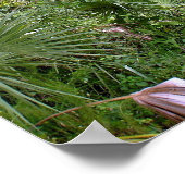 Oerwoud Poster (Hoek)