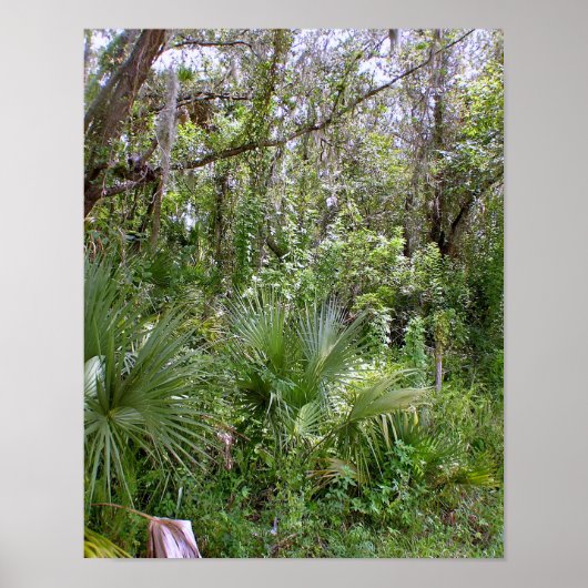 Oerwoud Poster (Voorkant)