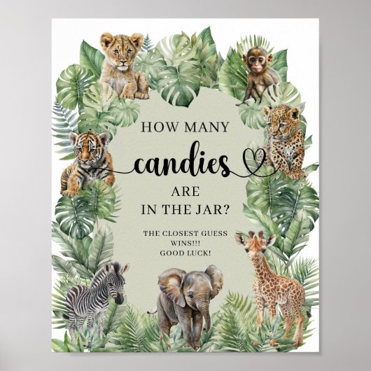 Oerwoud Safari Hoeveel Snoepjes zitten er in het p Poster (Voorkant)