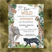 Oerwoud Safari Two Wild Birthday Black Panther