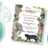 Oerwoud Safari Wild Een zondag zwart panther