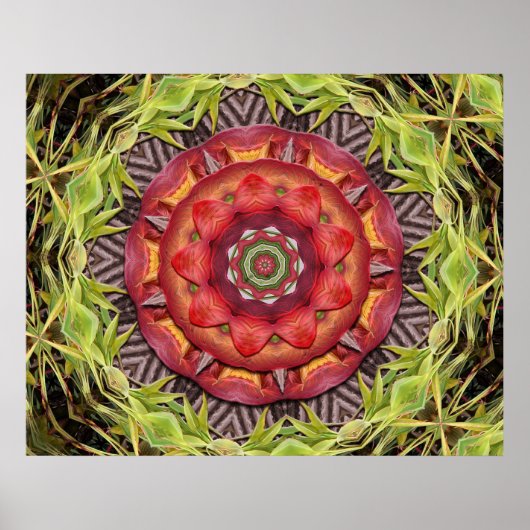 Oerwoud Shield Poster (Voorkant)