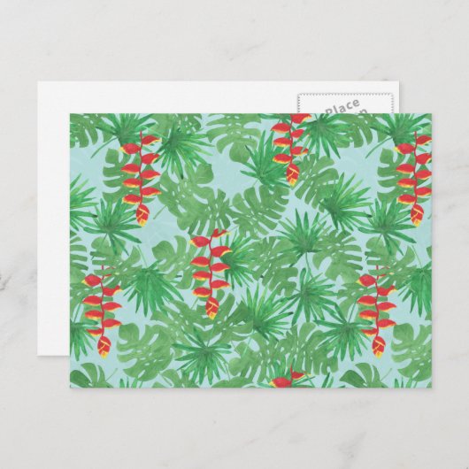 Oerwoud Sky Briefkaart (Voorkant / Achterkant)