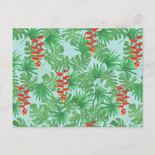 Oerwoud Sky Briefkaart (Voorkant)