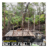 OERWOUD STICKS BIG ISLAND HAWAII PERFECT POSTER (Voorkant)