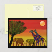 Oerwoud Sunset Briefkaart (Voorkant / Achterkant)