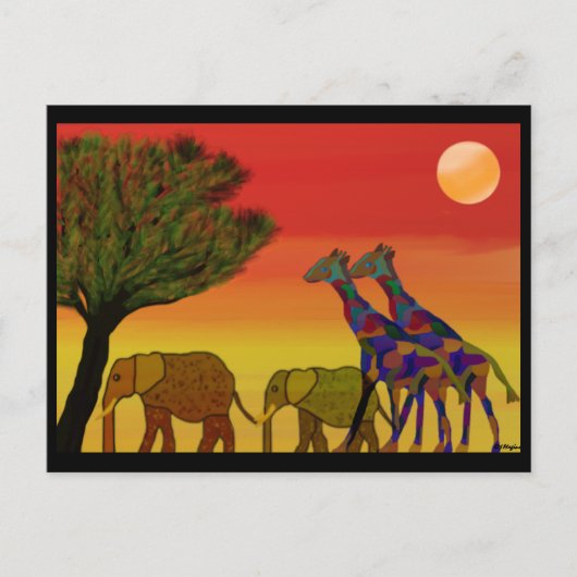 Oerwoud Sunset Briefkaart (Voorkant)