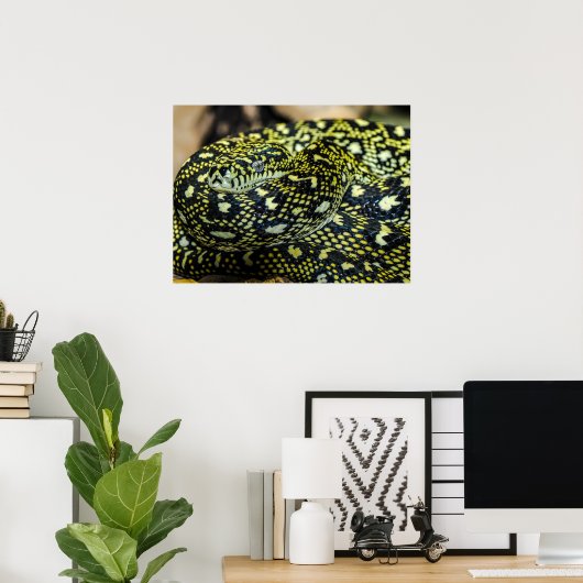 Oerwoud tapijt Python Snake Poster (Thuiskantoor)