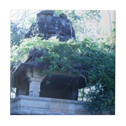 Oerwoud Tegeltje (Voorkant)