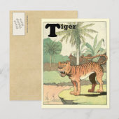 Oerwoud Tiger Animal Alphabet Briefkaart (Voorkant / Achterkant)