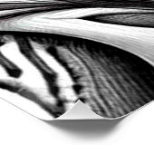 Oerwoud Toucan Perfect Poster (Hoek)