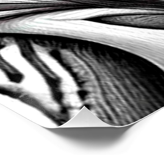 Oerwoud Toucan Perfect Poster (Hoek)