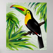 Oerwoud Toucan Poster (Voorkant)