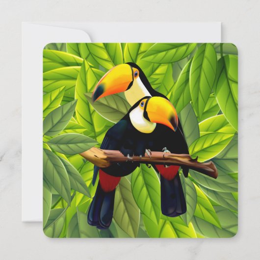 Oerwoud Toucans Weddenschap Kaart (Achterkant)
