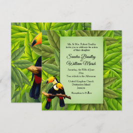 Oerwoud Toucans Weddenschap Kaart