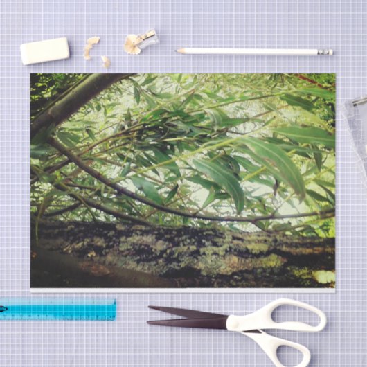 Oerwoud Trees Tissuepapier (Craft)