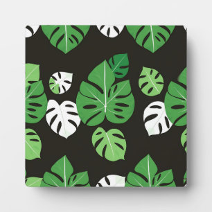 Oerwoud Tropische Monstera Bladeren Zwarte Achterg Fotoplaat
