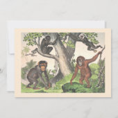 Oerwoud van apen Genderneutraal Baby shower per po Kaart (Achterkant)