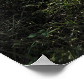 Oerwoud van Chitwan: Sunlit Forest Trail Poster (Hoek)