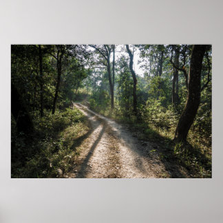 Oerwoud van Chitwan: Sunlit Forest Trail Poster